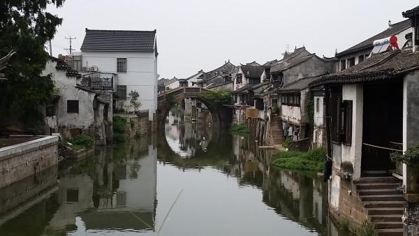射击红色鸟